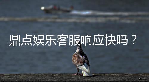 鼎点娱乐客服响应快吗?实测体验告诉你答案
