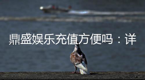 鼎盛娱乐充值方便吗:详细体验分享