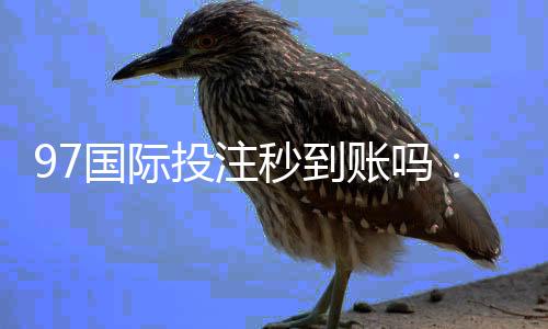 97国际投注秒到账吗：快速存取款方式推荐