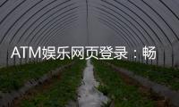 ATM娱乐网页登录：畅享顶级棋牌游戏的快捷通道