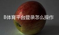 B体育平台登录怎么操作？新手注册、账号登录步骤与常见问题全攻略