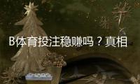 B体育投注稳赚吗？真相解析：风险评估、盈利概率与实战稳健策略