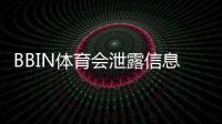 BBIN体育会泄露信息吗？安全性评估与隐私防护完整指南