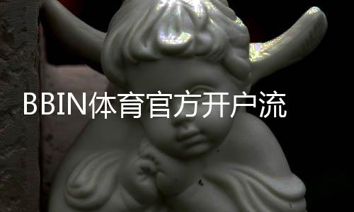 BBIN体育官方开户流程全攻略：新手注册步骤、验证与注意事项