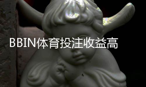 BBIN体育投注收益高吗？新手必看：回报、风险与盈利策略解析