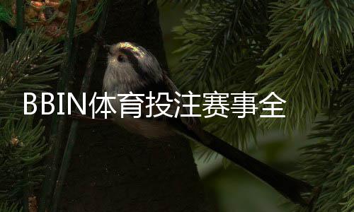 BBIN体育投注赛事全吗？赛事覆盖、玩法种类与新手投注指南