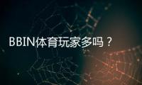 BBIN体育玩家多吗？真实用户规模与活跃度深度解析