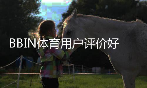 BBIN体育用户评价好不好?真实玩家点评、优缺点与安全性全面解析