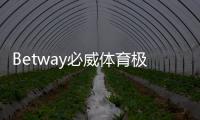 Betway必威体育极速注册怎么做？新手快速开户全流程、步骤与安全注意事项