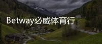 Betway必威体育行业内地位如何？品牌实力、市场表现与竞争力全面解析