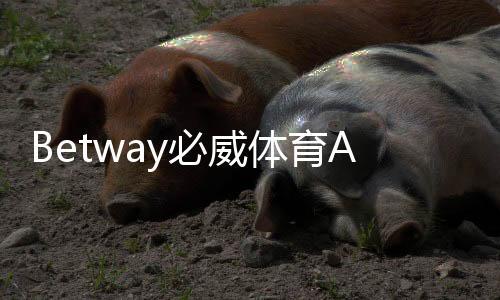 Betway必威体育APP安全性如何？合规性、隐私与资金保护全面评测