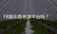 F8娱乐是老牌平台吗？资深玩家揭秘其发展历程与行业地位