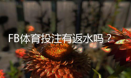 FB体育投注有返水吗？最新返水规则、比例与领取攻略
