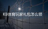 KB体育玩家礼包怎么领取？新手领取攻略与礼包内容详解
