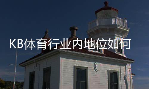 KB体育行业内地位如何?市场份额、竞争优势与未来发展前景全面解析