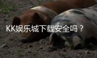 KK娱乐城下载安全吗？资深玩家实测下载流程与安全保障