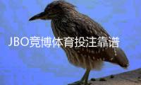 JBO竞博体育投注靠谱吗？真实评测、合法性与提款速度安全性全面解析
