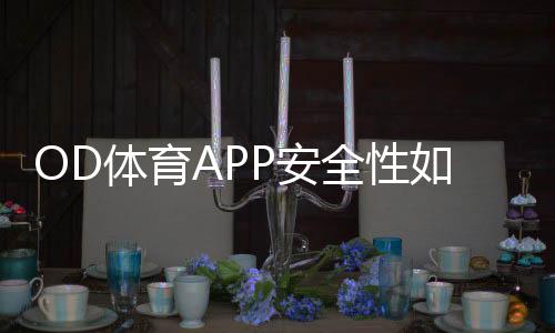 OD体育APP安全性如何?隐私保护、资金保障与风险评估详解