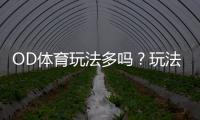 OD体育玩法多吗？玩法种类、规则与新手投注攻略一次看懂