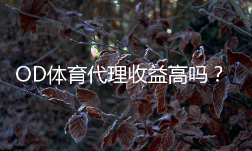 OD体育代理收益高吗？佣金构成、实测收入与快速增收攻略