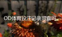 OD体育投注记录可查吗？完整查询方法、保存期限与隐私注意事项