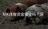 MK体育资金安全吗？深度解析平台资金保障机制与用户实测反馈