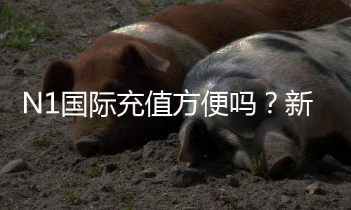 N1国际充值方便吗？新手充值流程、支付方式与常见问题详解