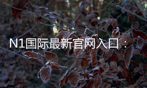 N1国际最新官网入口：官方地址、登录注册步骤与安全访问指南