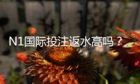 N1国际投注返水高吗？详解返水比例、计算方法与实用省钱技巧