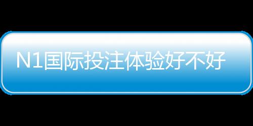N1国际投注体验好不好？真实用户实测、优势与风险全解析