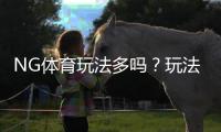 NG体育玩法多吗？玩法种类、投注规则与新手实战技巧一览