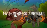 NG体育好玩吗？新手试玩评测、玩法解析与优缺点全面分析