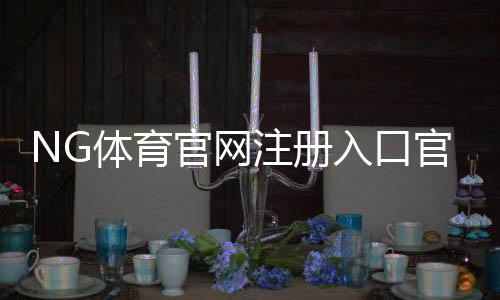 NG体育官网注册入口官方最新版:新手快速注册步骤与安全验证详解