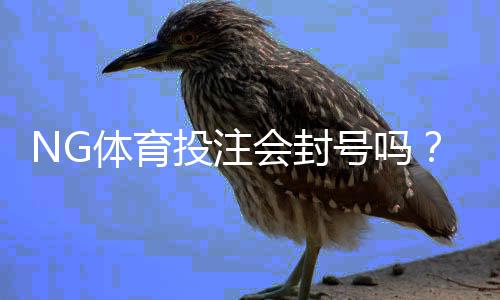 NG体育投注会封号吗？官方规则、常见封号原因与防封技巧