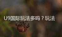 U9国际玩法多吗？玩法类型详解、规则与新手投注攻略