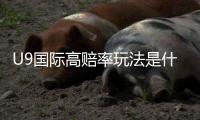 U9国际高赔率玩法是什么意思？新手入门与实战技巧详解