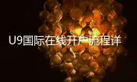 U9国际在线开户流程详解：新手快速注册步骤与安全注意事项