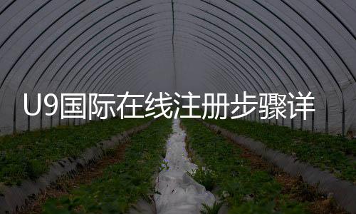 U9国际在线注册步骤详解：手机邮箱快速注册、实名认证与常见问题解决