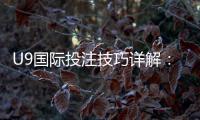 U9国际投注技巧详解：新手入门、实战策略与风险控制