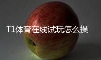 T1体育在线试玩怎么操作？新手注册、试玩流程与安全注意事项详解