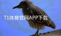 T1体育官网APP下载与使用教程：注册、充值、投注与安全新手全攻略