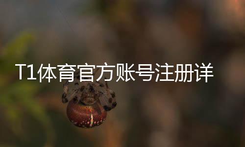 T1体育官方账号注册详解：新手注册流程、验证步骤与常见问题