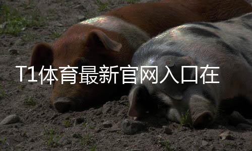 T1体育最新官网入口在哪？官方登录、注册与手机访问全指南