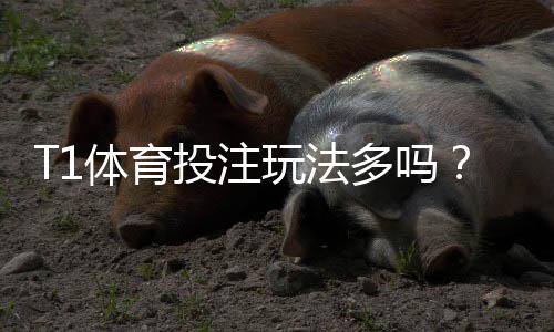 T1体育投注玩法多吗？玩法种类、规则与新手投注攻略一文看懂