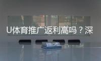 U体育推广返利高吗？深度解析平台返利政策与实战攻略
