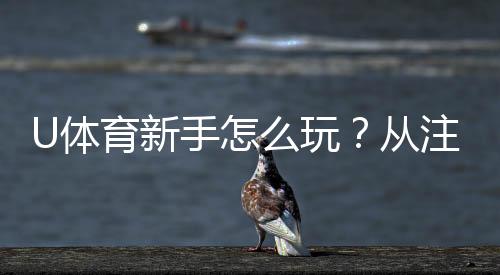 U体育新手怎么玩?从注册到实战的完整入门指南