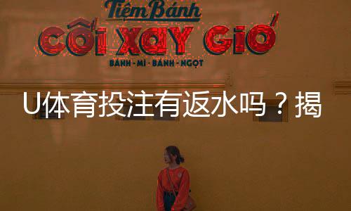 U体育投注有返水吗?揭秘平台返水规则与实战技巧