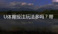 U体育投注玩法多吗？带你探索丰富多样的游戏选择