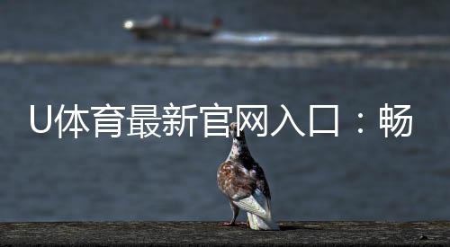 U体育最新官网入口：畅享顶级赛事投注与电子游艺盛宴