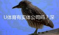 U体育有实体公司吗？深入解析其线下运营与资质背景